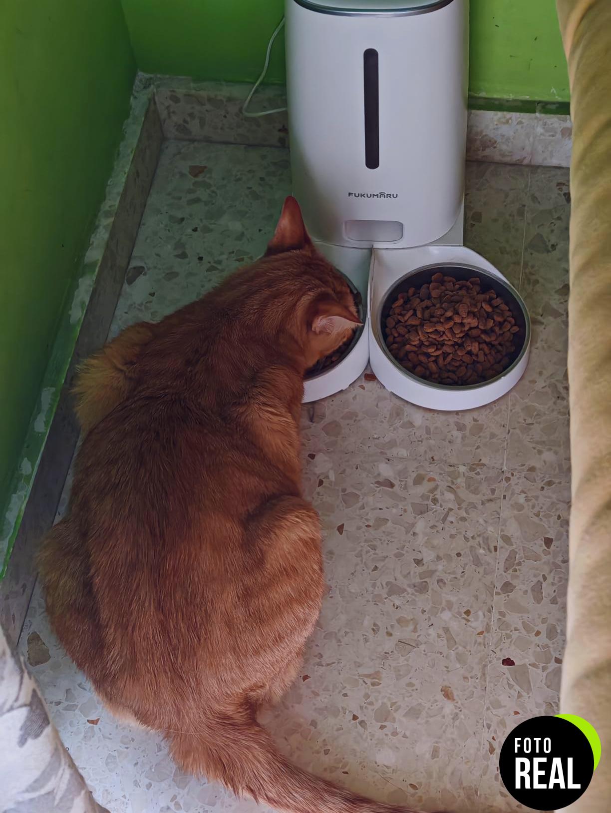advance-gato-esterilizado-pavo-3kg-foto-1