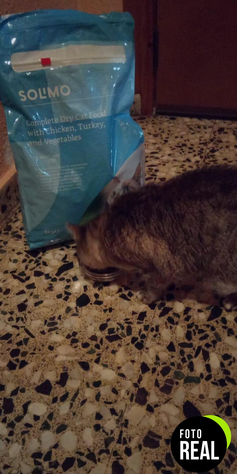 amazon-alimento-seco-gatos-3kg-pollo-pavo-verduras-foto-3