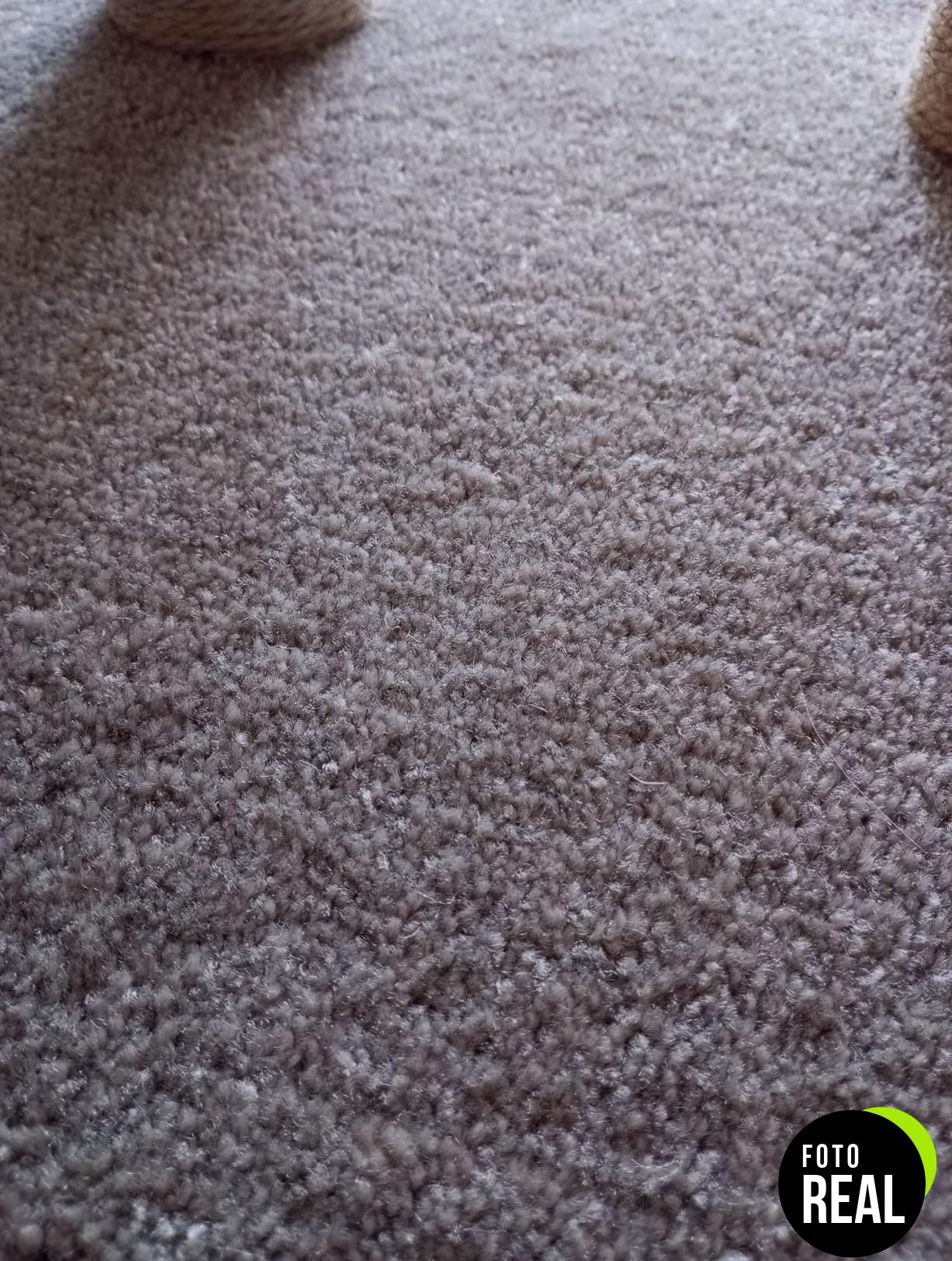 amazon-basics-torre-gatos-beige-1-foto-3