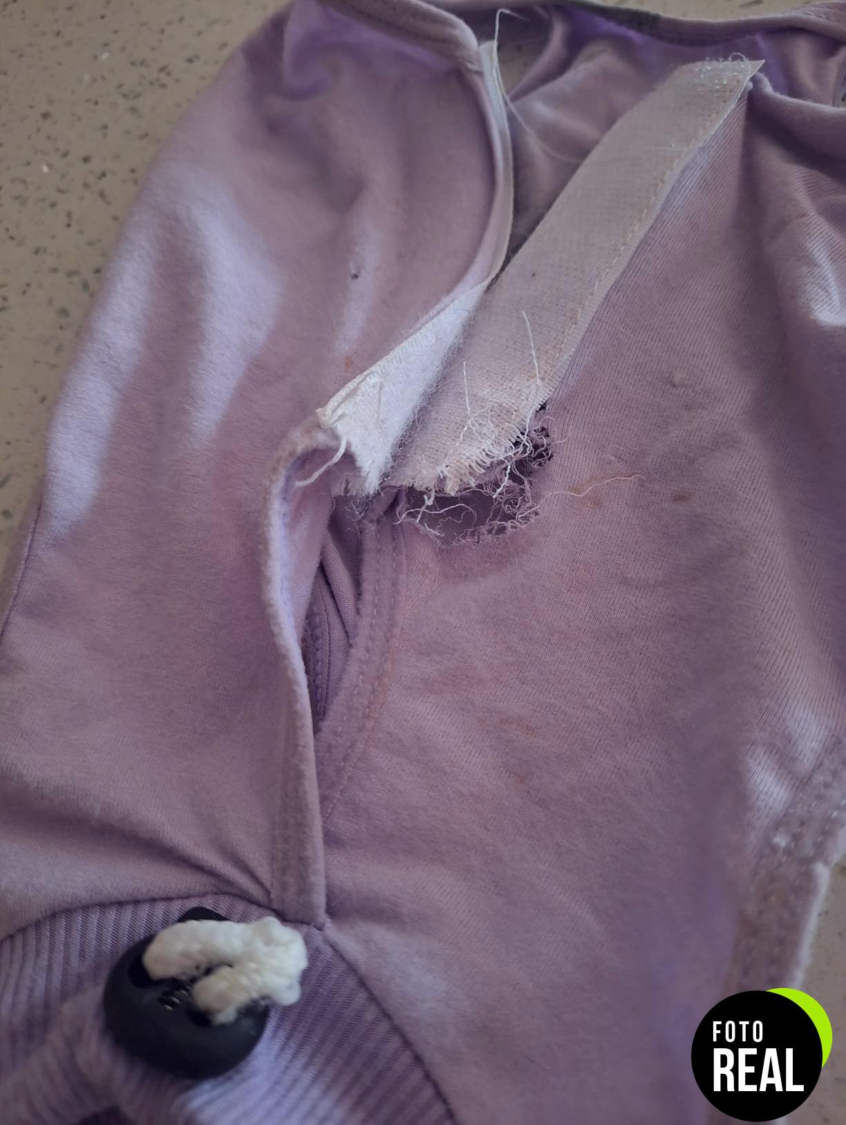 avont-mono-gato-recuperacion-s-purpura-foto-3