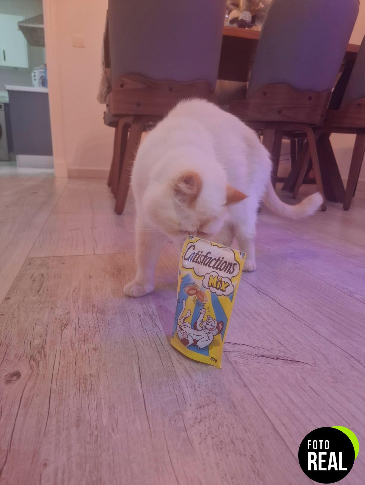 catisfactions-premios-gatos-pollo-pato-6pack-foto-3