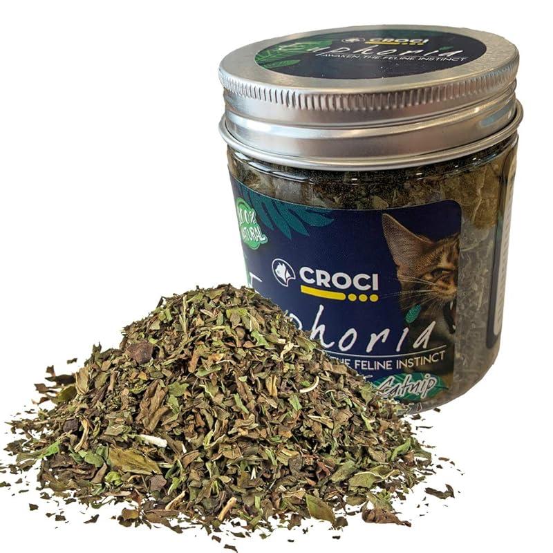 Croci Euphoria: La hierba gatera que encanta a mis gatos