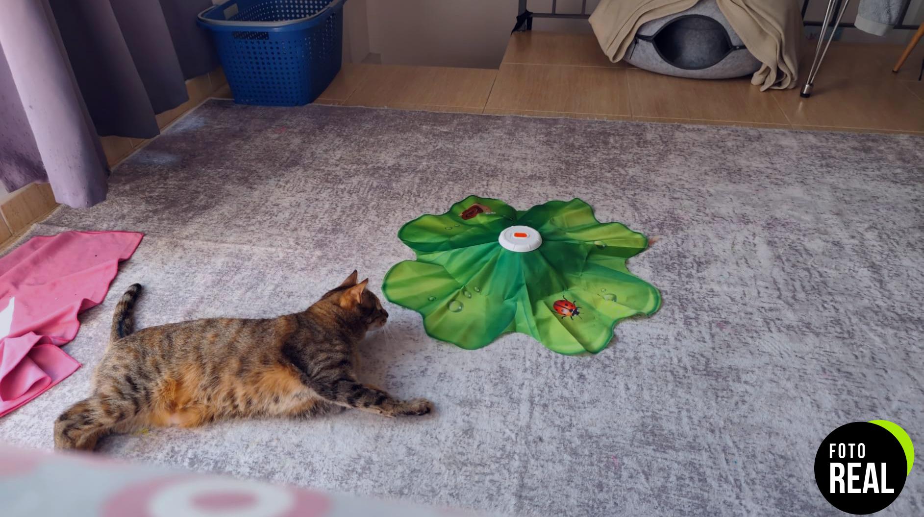 feelneedy-juguete-gato-interactivo-1-foto-1