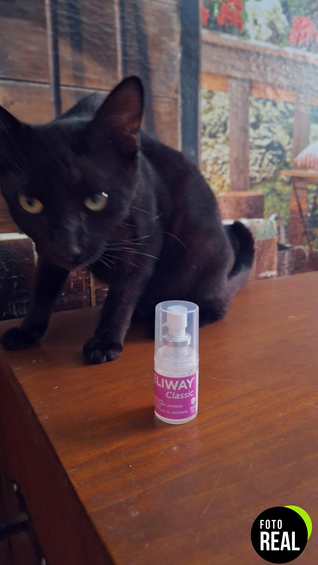 feliway-spray-feromonas-gatos-20ml-foto-3