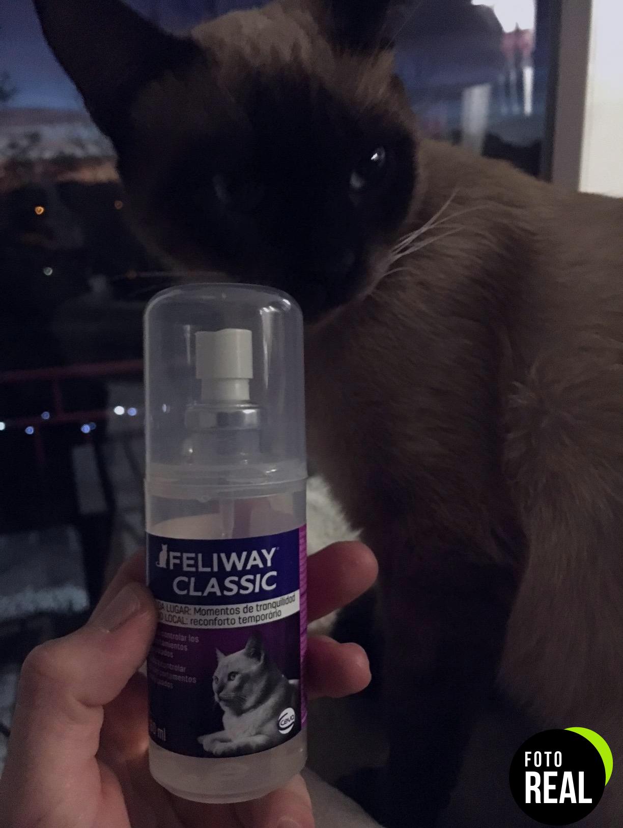 feliway-spray-gatos-60ml-calma-foto-2