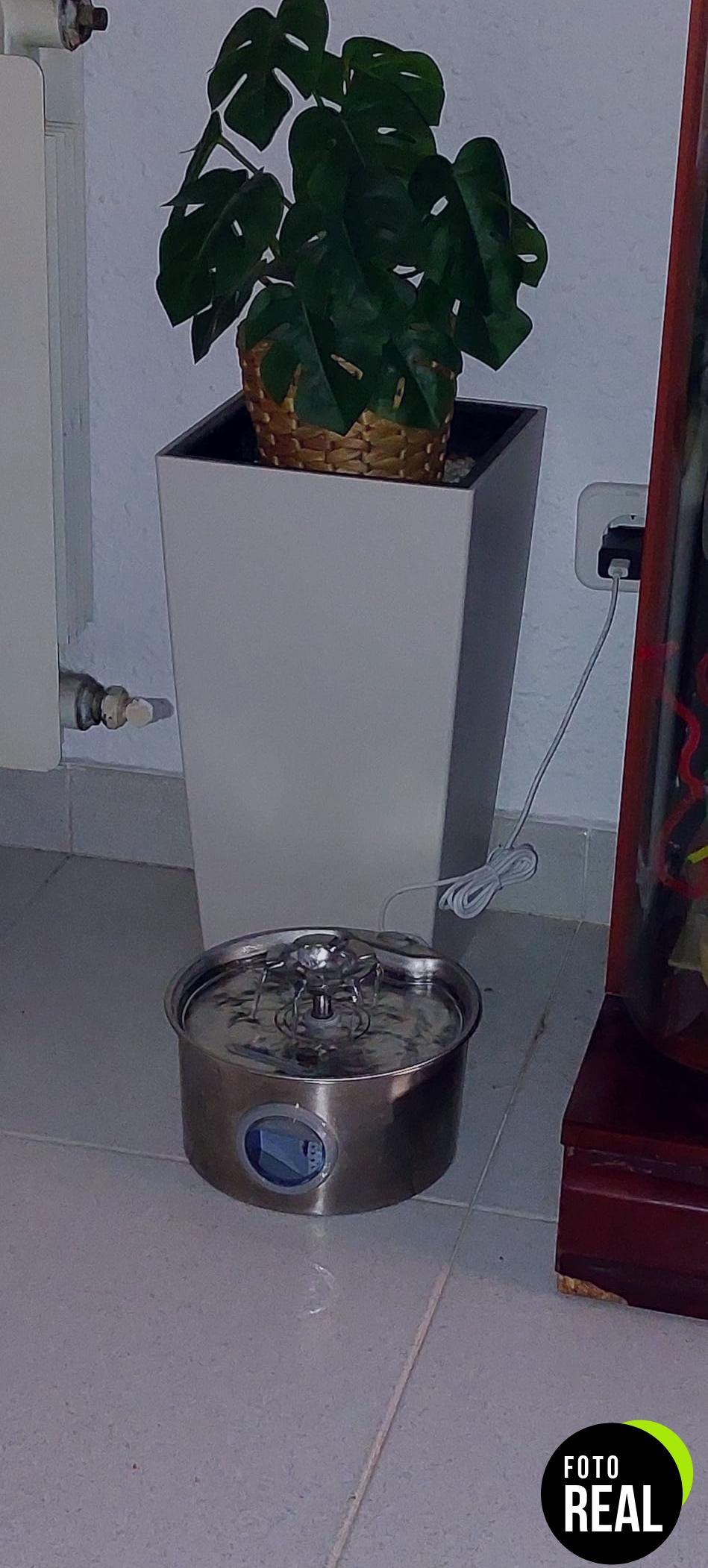 fuente-gatos-acero-inox-bebedero-2-6l-foto-2
