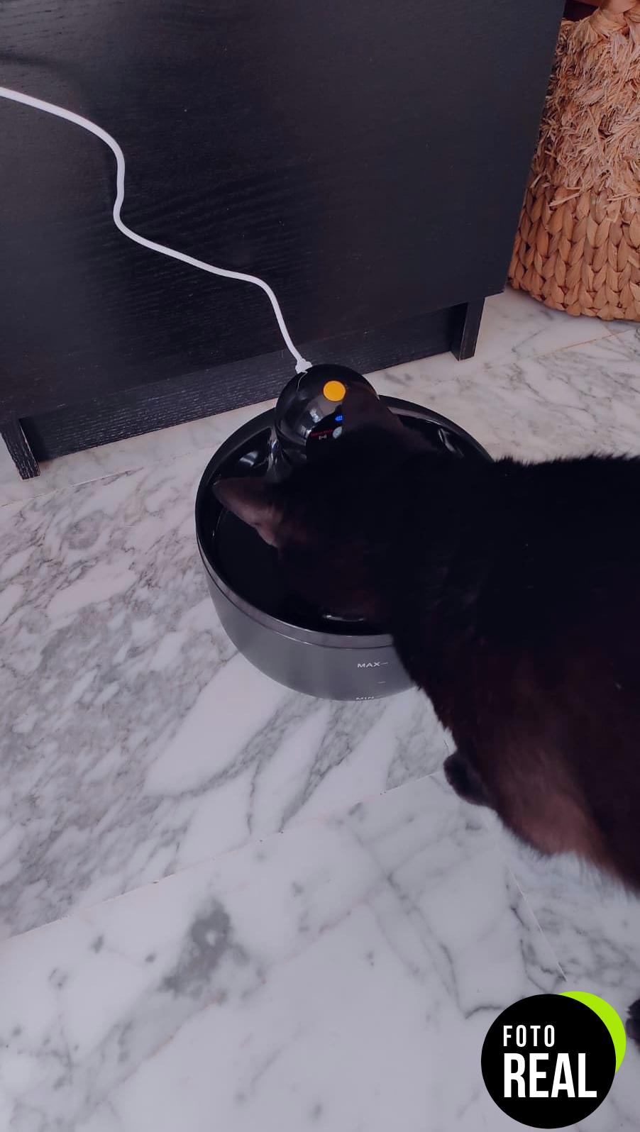 fuente-gatos-automatico-2-6l-foto-1