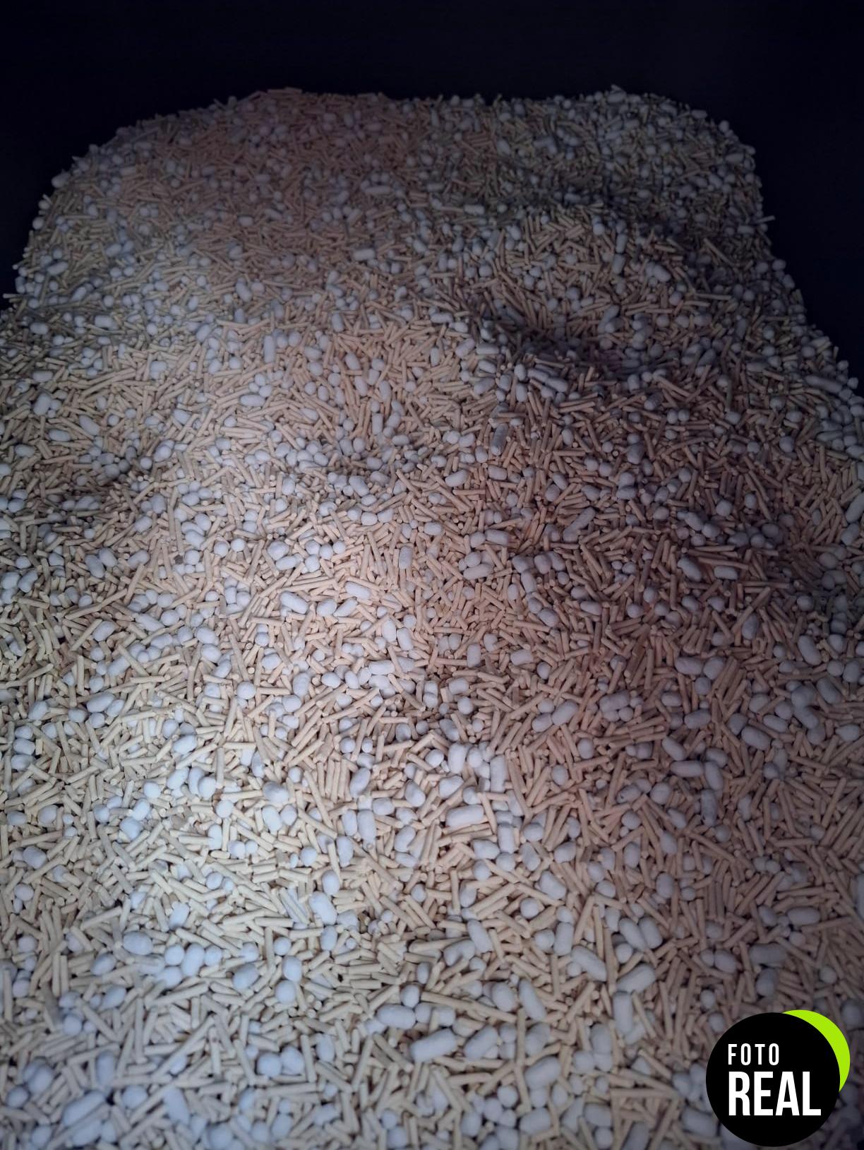 fukumaru-arena-gatos-10kg-foto-2