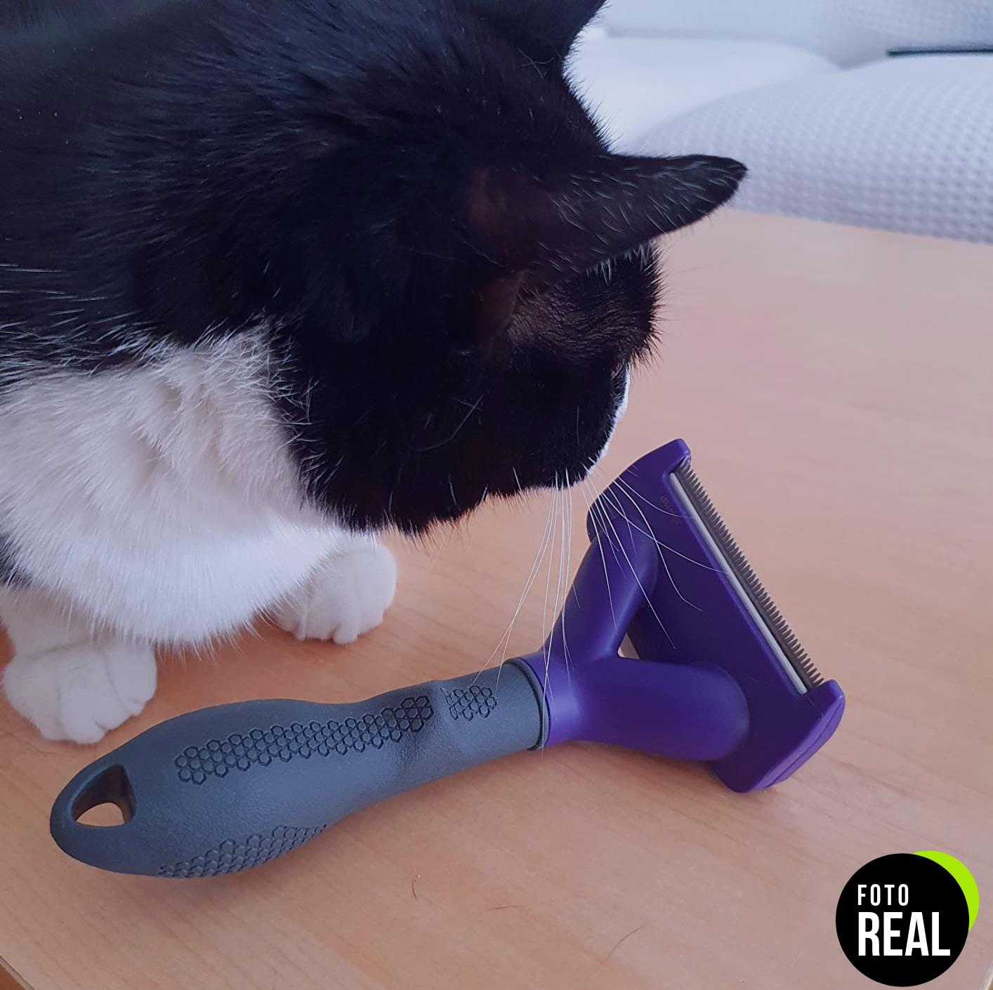 furminator-cepillo-gatos-pelo-corto-ml-foto-1