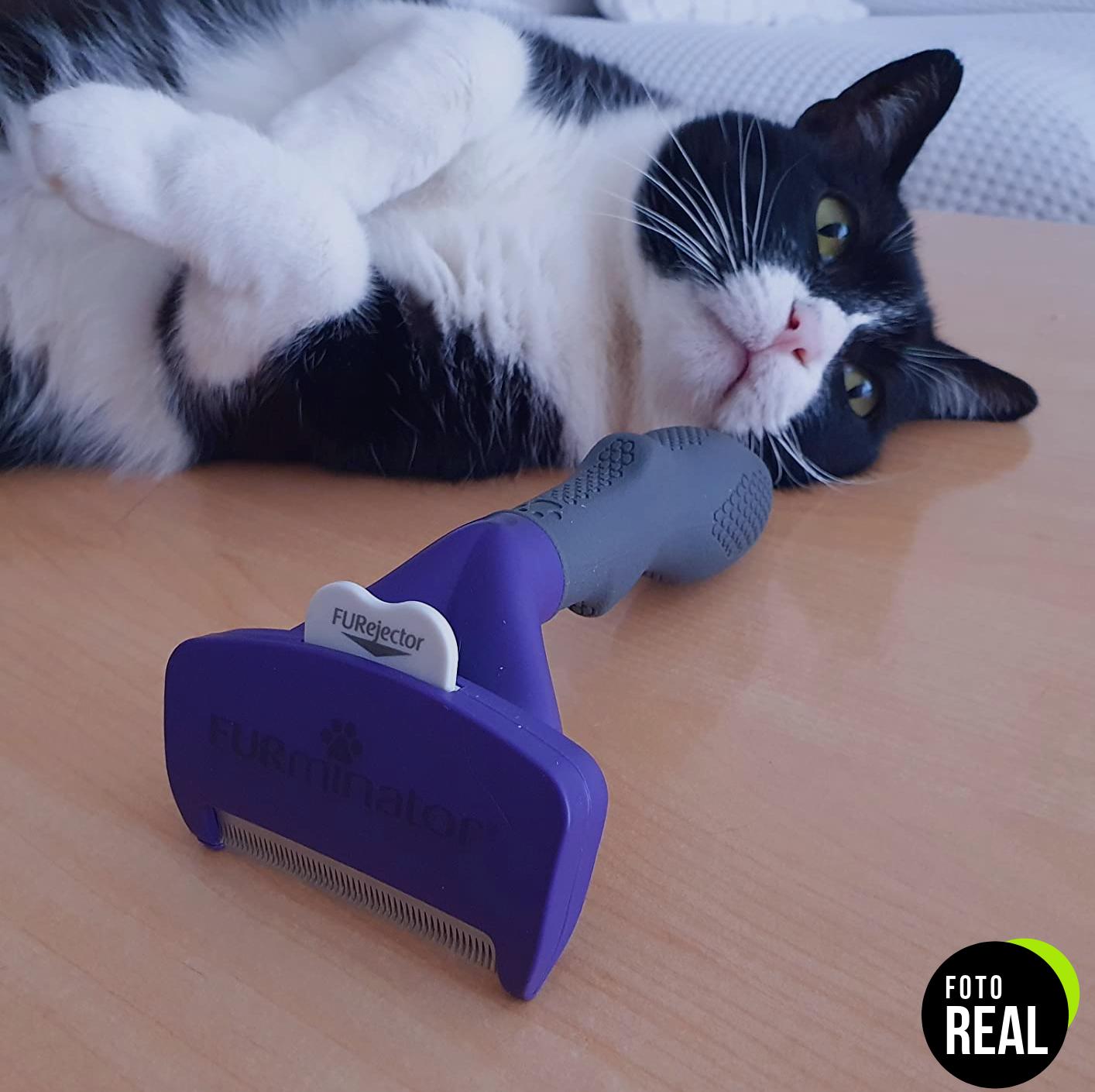furminator-cepillo-gatos-pelo-corto-ml-foto-2