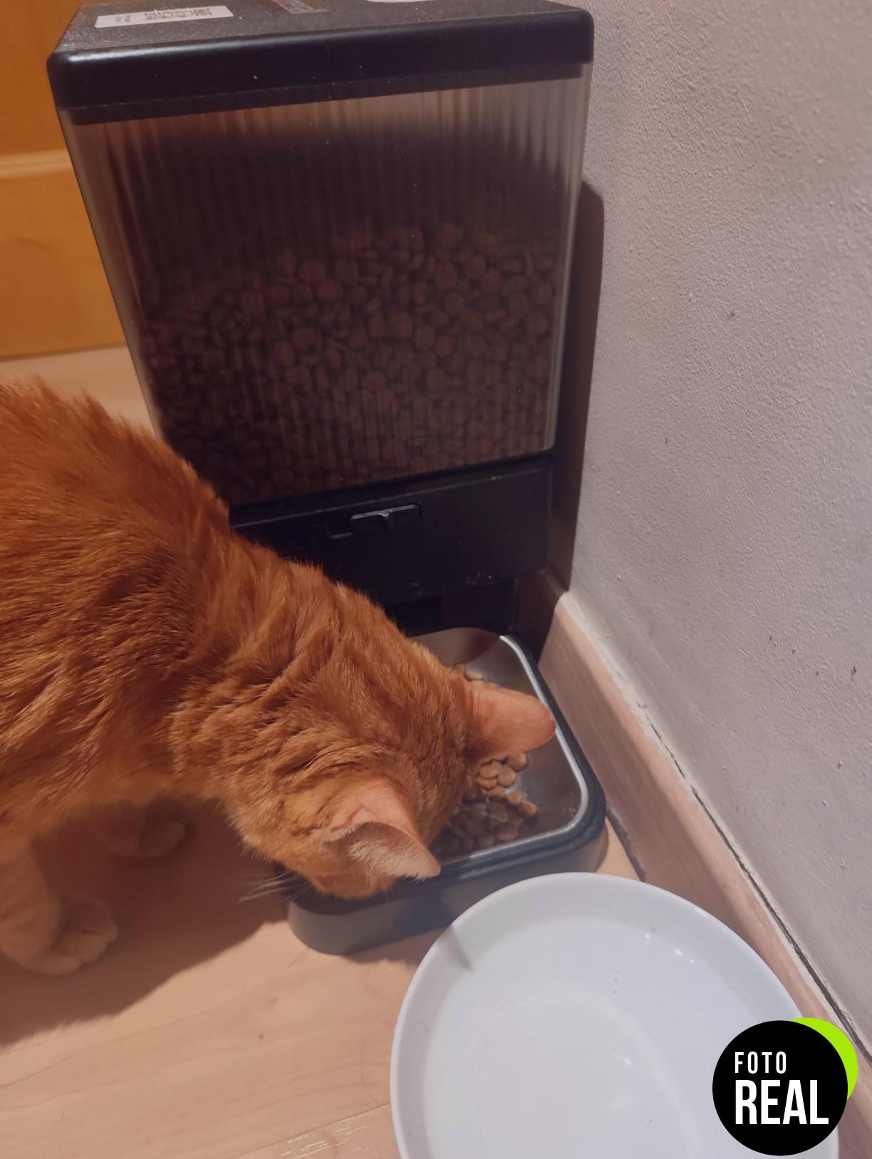 natures-variety-pienso-gatos-salmon-7kg-foto-1