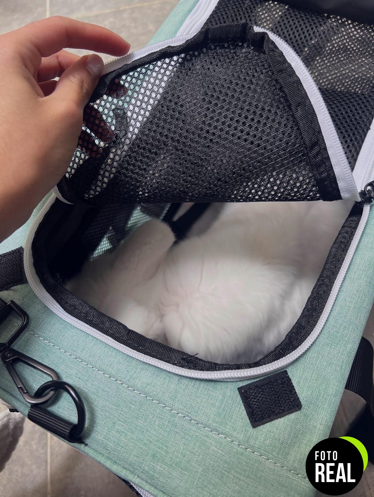 pet-transportin-gato-cachorro-azul-lago-foto-2