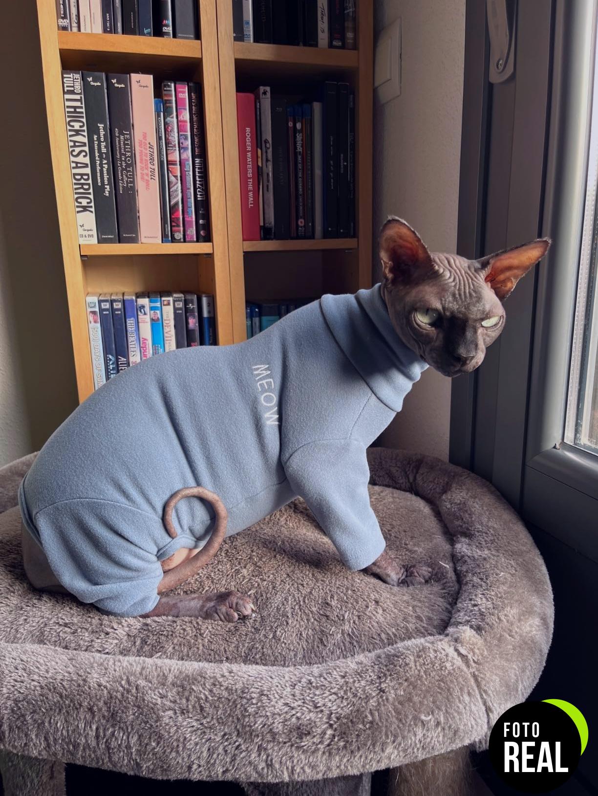 pumyporeity-sueter-invierno-gatos-esfinge-xl-foto-1
