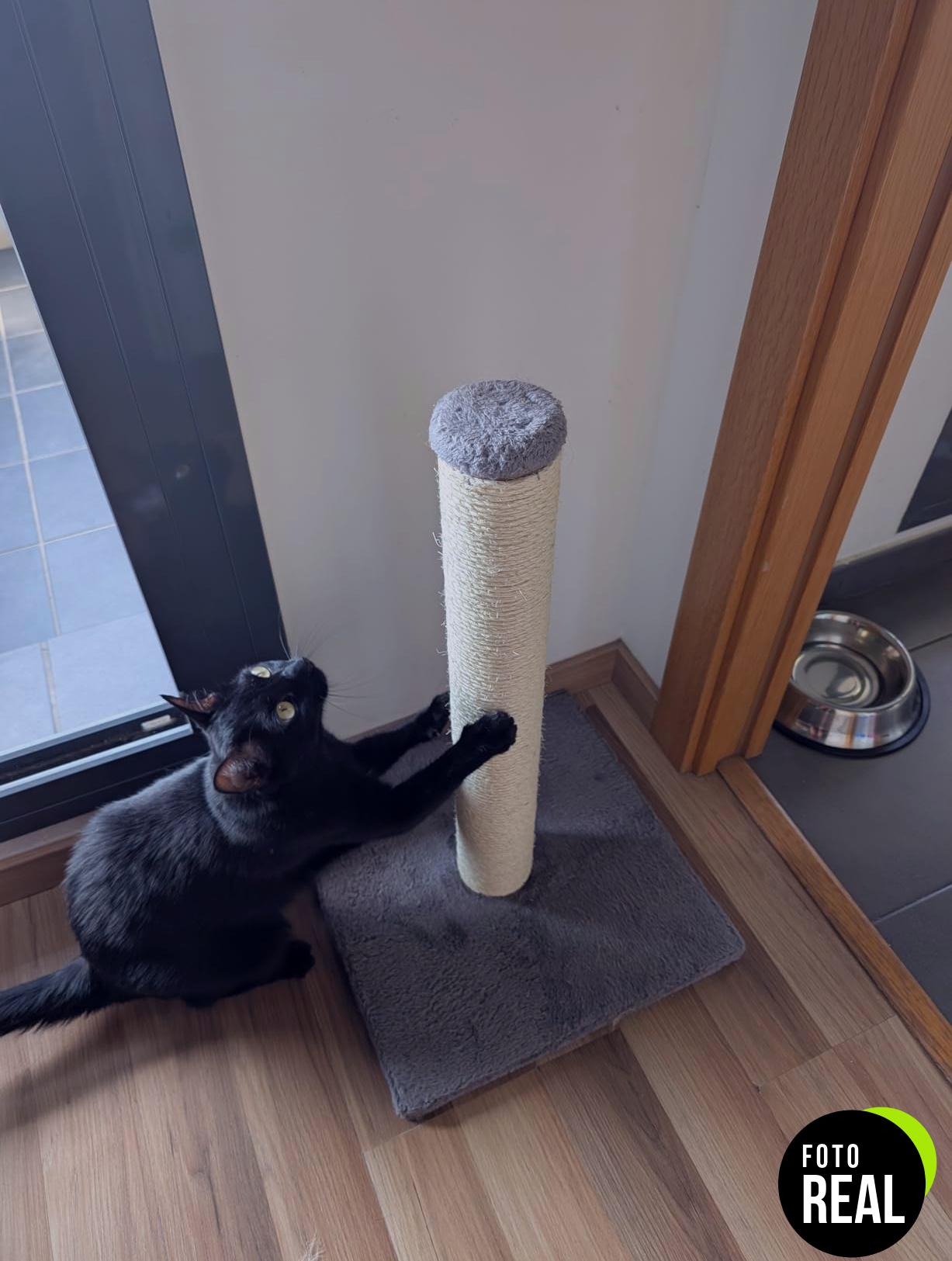 trixie-poste-rascar-gato-beige-9-40cm-foto-3